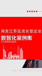 2024用友江苏区成长型企业数智化案例集