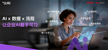 AI时代真正的赢家，是平台型SaaS