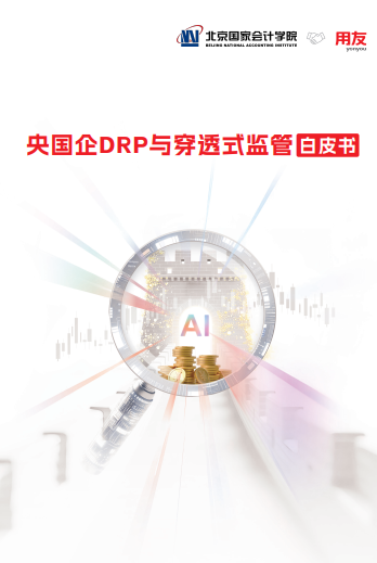 央国企DRP与穿透式监管白皮书